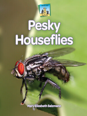 cover image of Pesky Houseflies